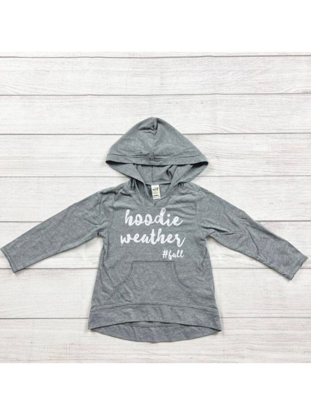Kavio! Girls Gray Long Sleeve Hoodie Weather Graphic Pullover 3T